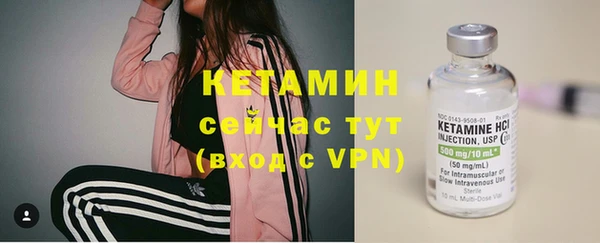прущие грибы Балабаново