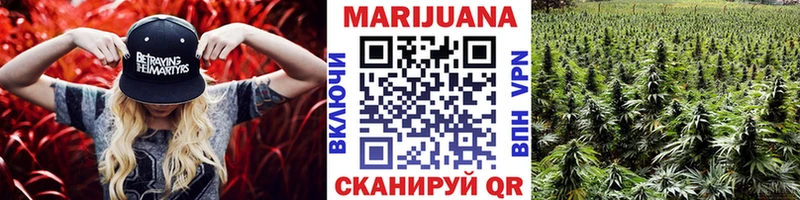 хочу наркоту  Юрьевец  Конопля ГИДРОПОН 